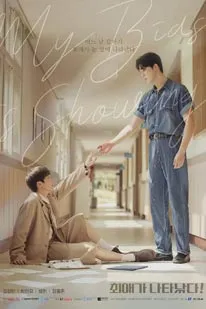 My Bias is Showing! (2025) (2025) poster