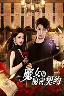 ลิขิตรักผู้วิเศษ (2025) (2025) poster